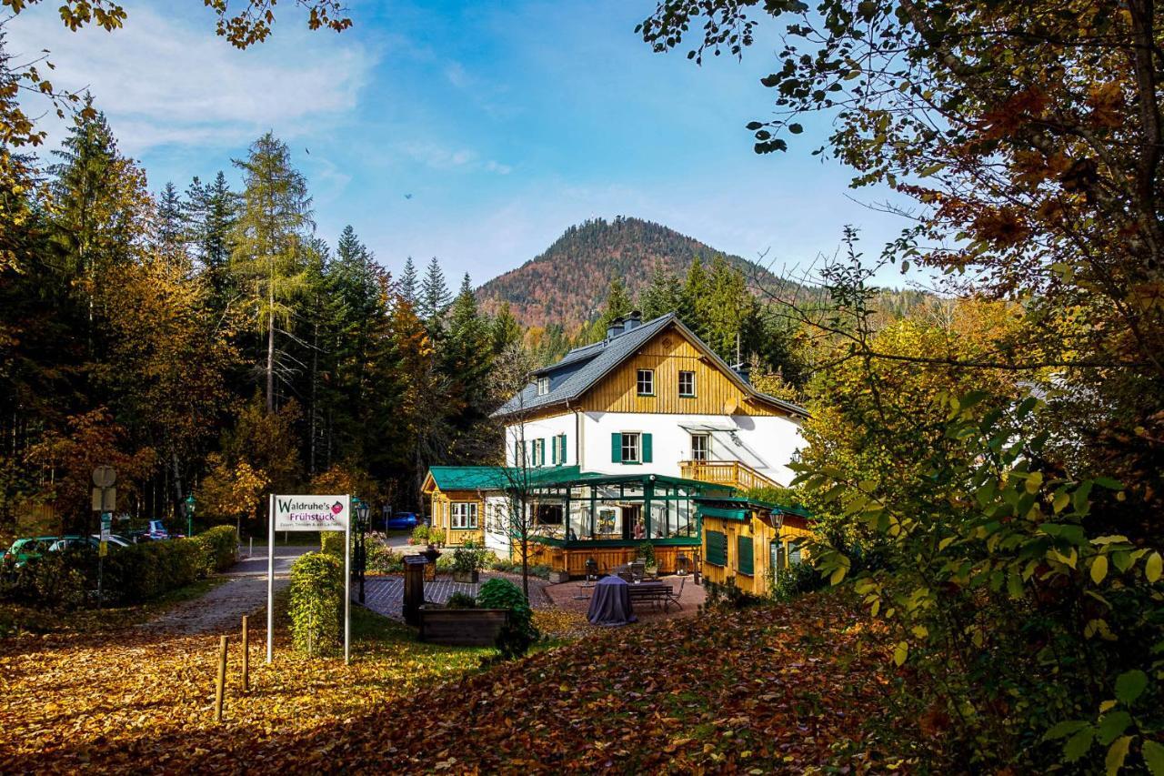 Waldruhe - Bett, Fruehstueck & Ein Laecheln Bed & Breakfast Bad Aussee Bagian luar foto